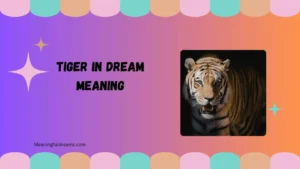tiger in dream meaning