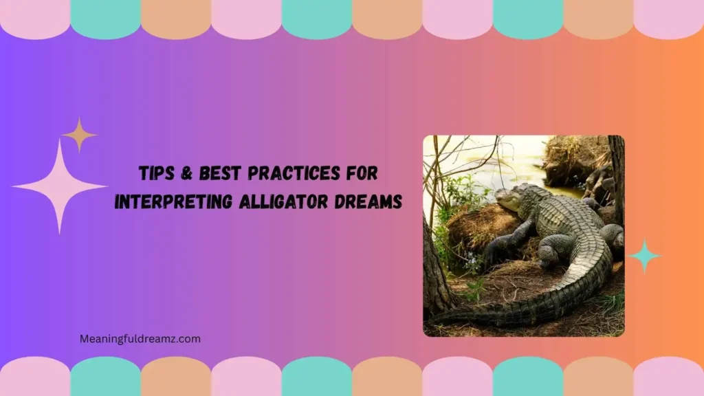 Tips & Best Practices for Interpreting Alligator Dreams