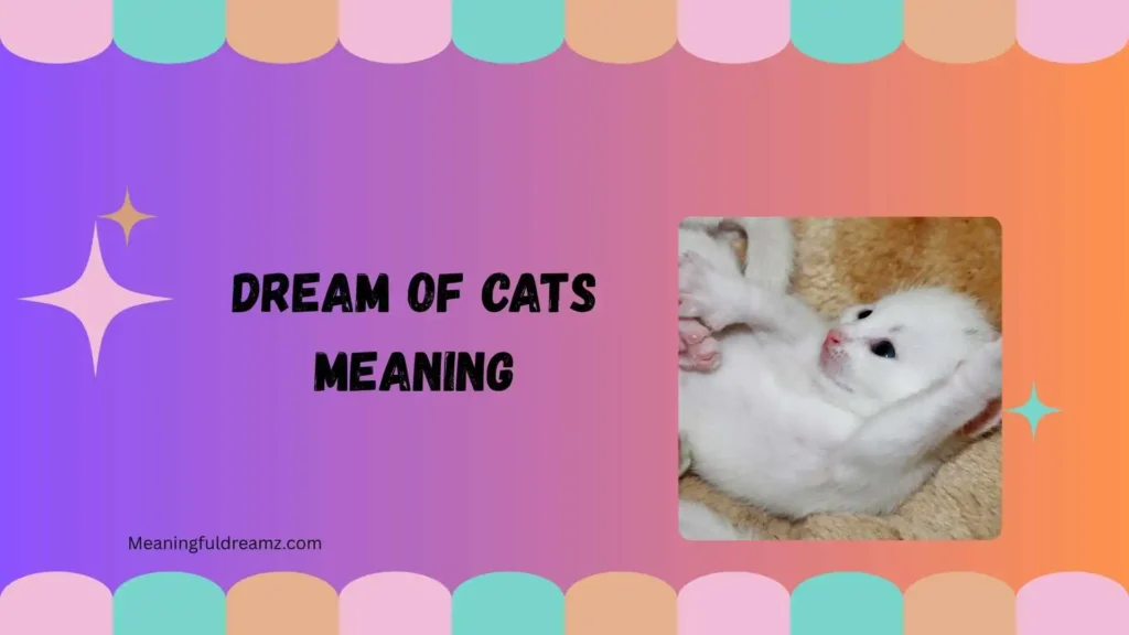 Tips & Best Practices for Interpreting Cat Dreams