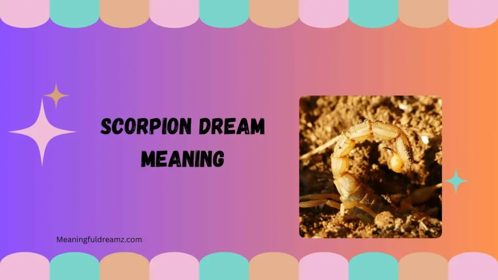 Tips & Best Practices for Scorpion Dream Interpretation