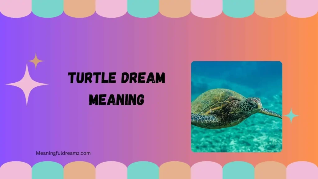 turtle dream meaning