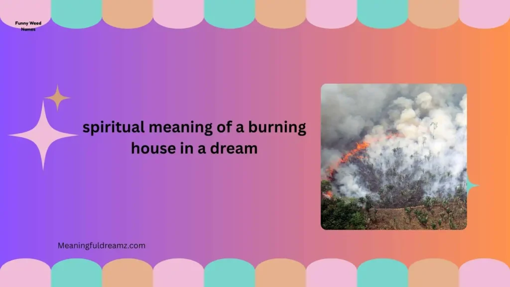 Types and Variations of a Burning House in a Dream
