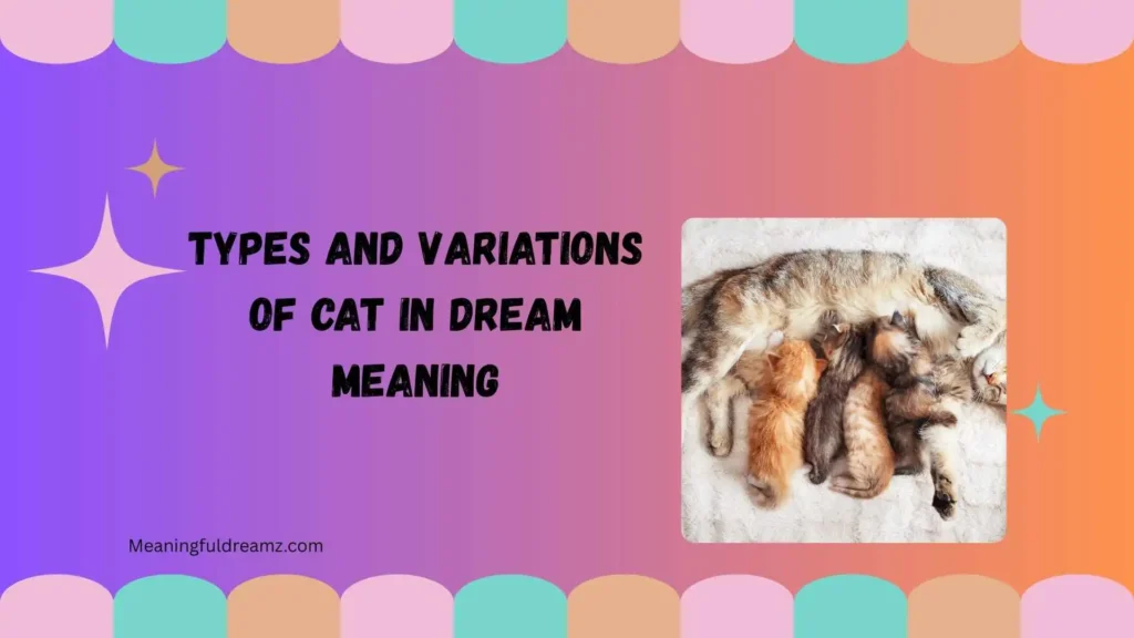 Types and Variations of Cat in Dream Meaning
