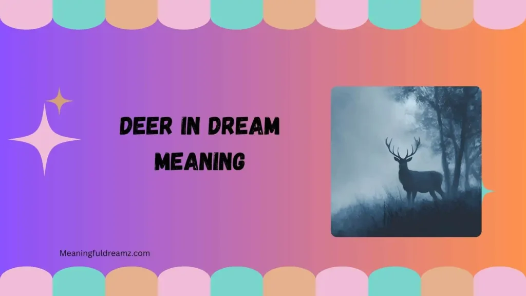 Types and Variations of Deer in Dream Meaning