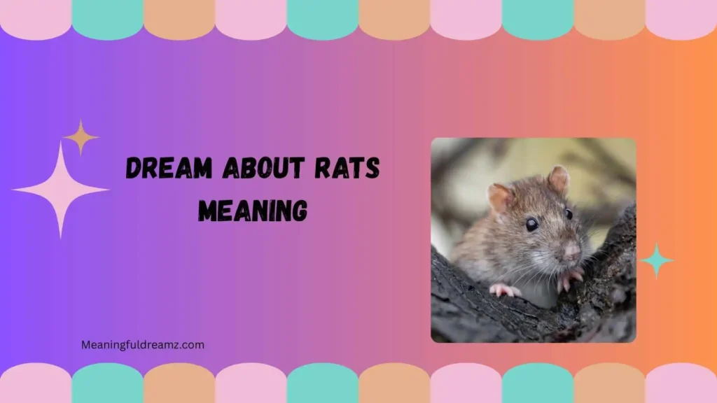 Types and Variations of Dream About Rats Meaning
