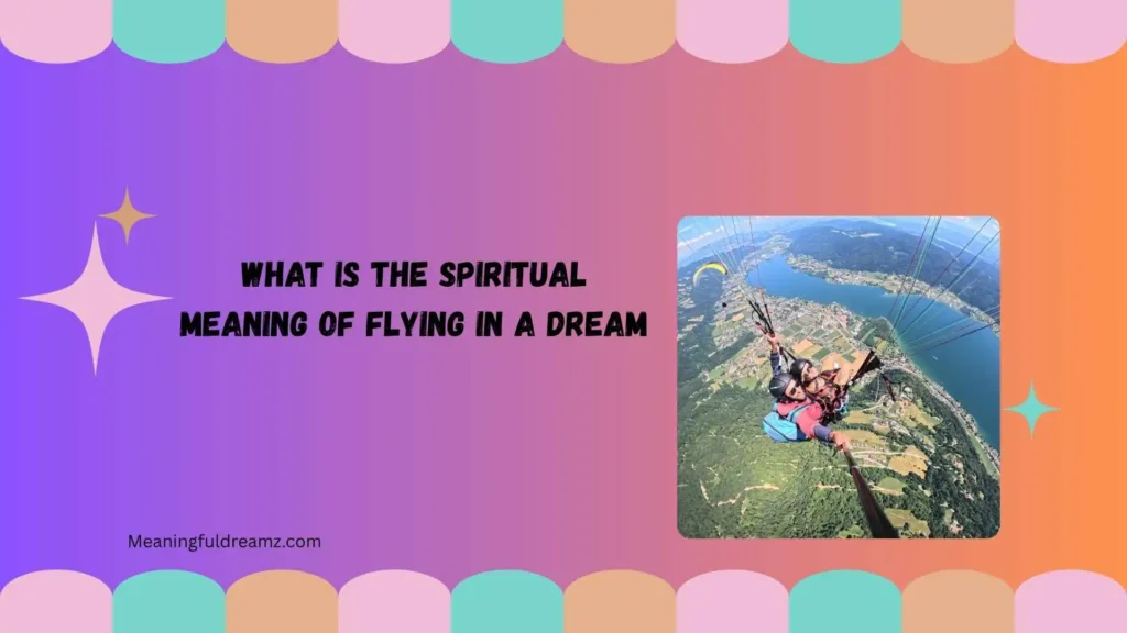 Types and Variations of Flying Dreams
