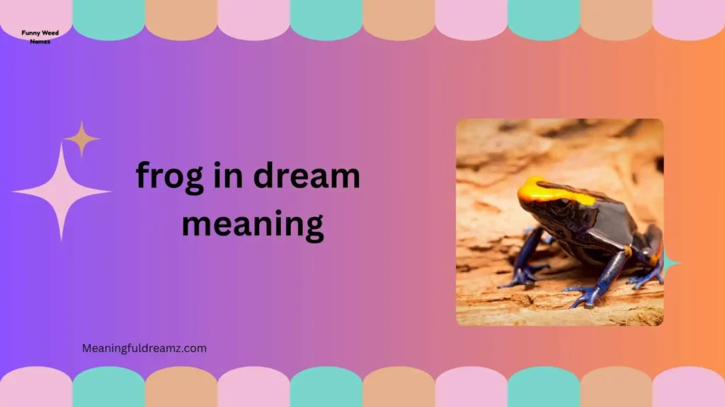 Types & Variations of Frog in Dream Meaning