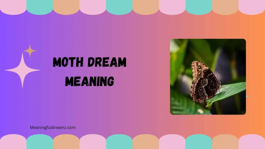 Types and Variations of Moth Dreams