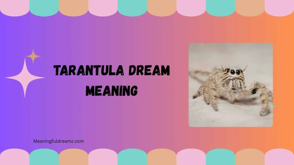 Types and Variations of Tarantula Dream Meaning