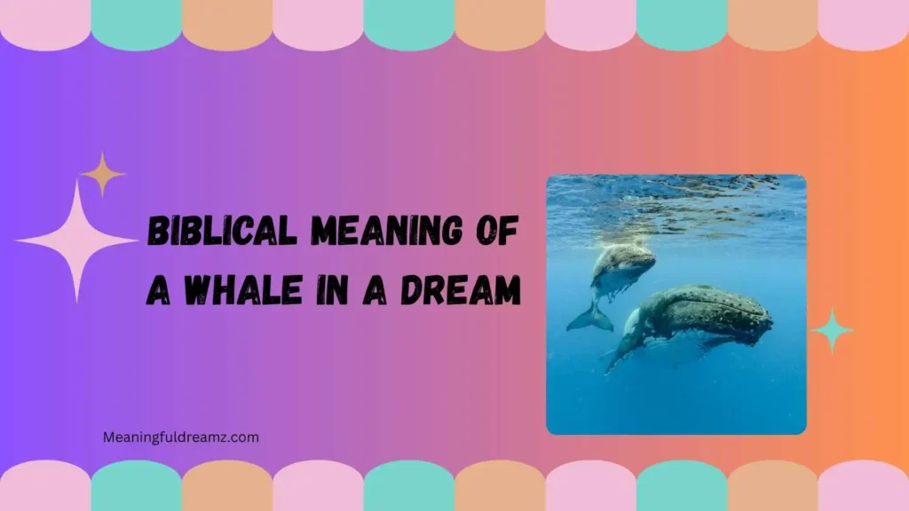 Types and Variations of Whale Dreams