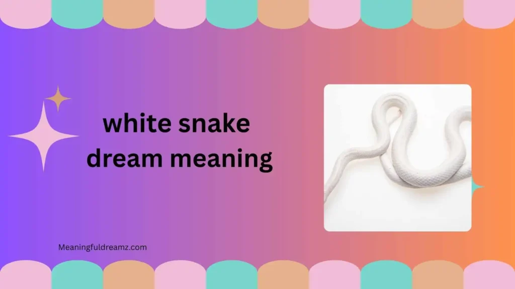 Types, Categories, and Variations of White Snake Dreams