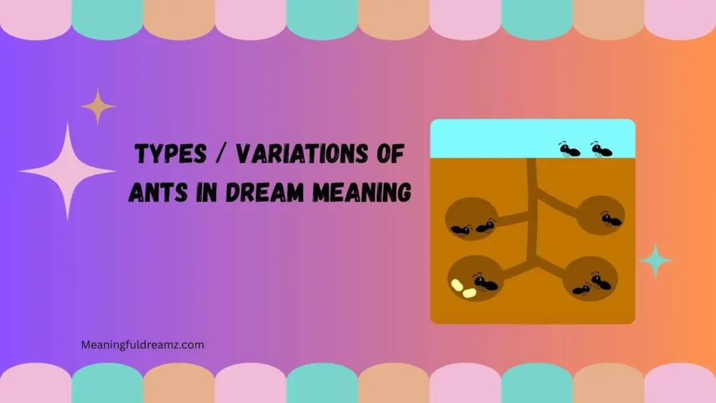 Types / Variations of Ants in Dream Meaning