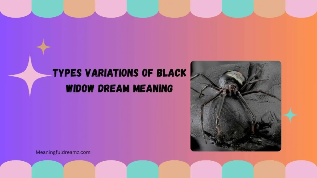 Types / Variations of Black Widow Dream Meaning