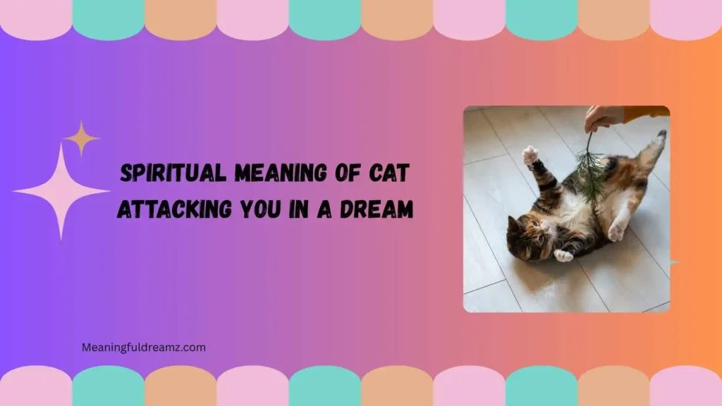 Types / Variations of Cat Attacking You in a Dream