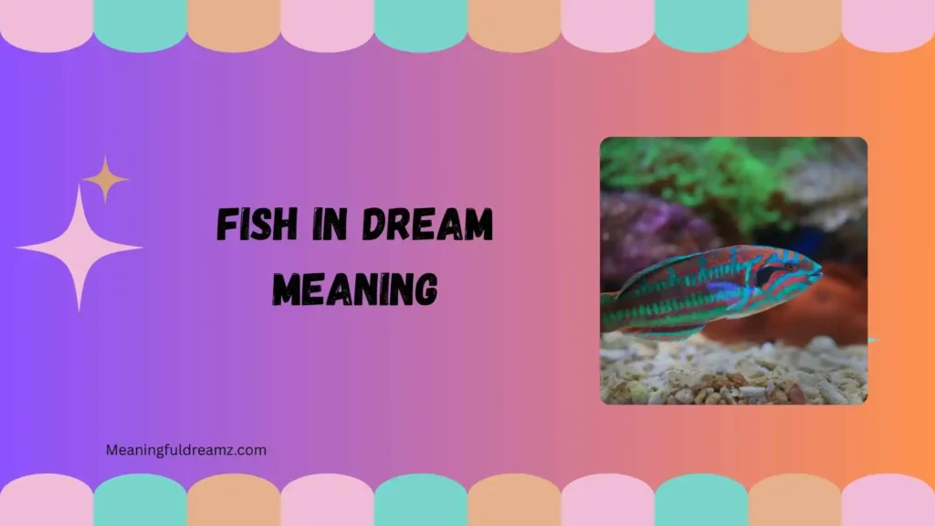 Types / Variations of Fish in Dream Meaning