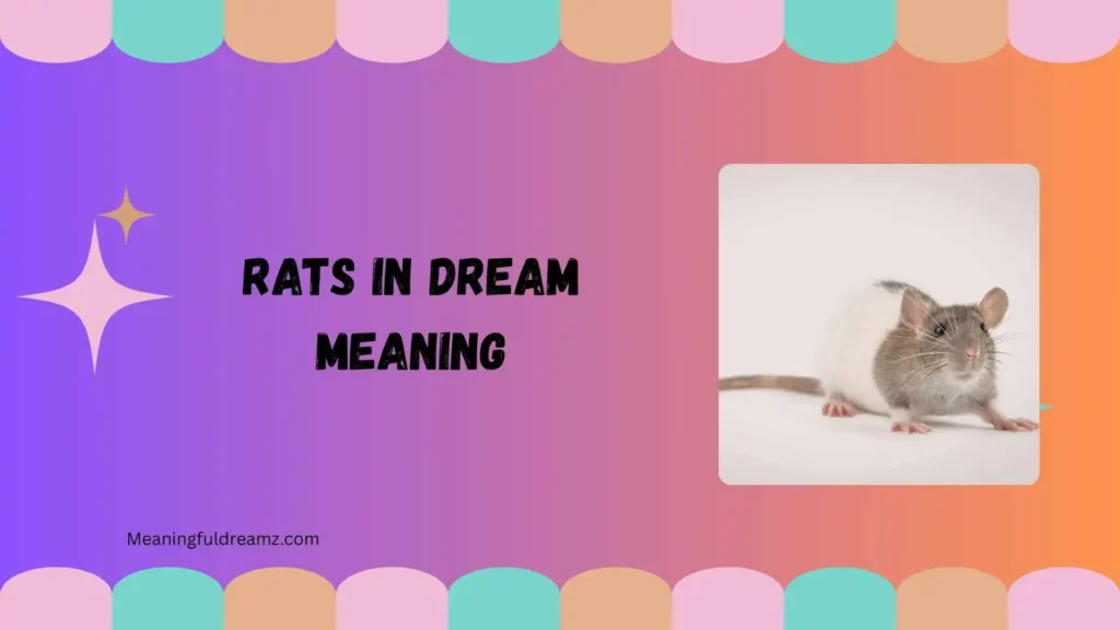 Types / Variations of Rats in Dream Meaning
