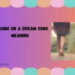 walking on a dream song meaning
