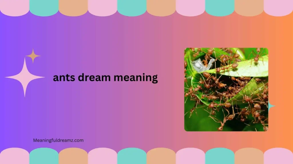 What Is Ants Dream Meaning?