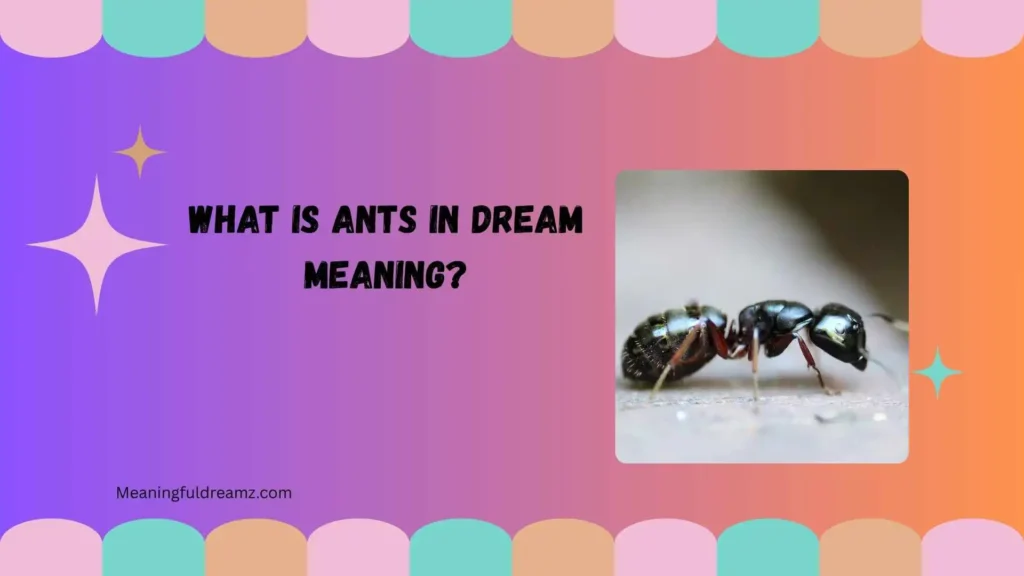 What Is Ants in Dream Meaning?