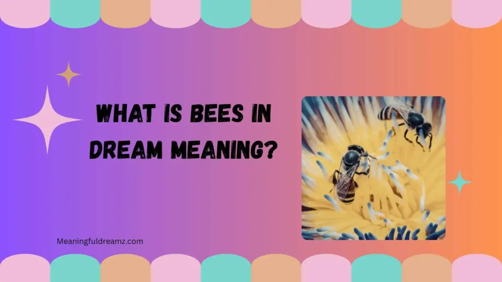 What Is Bees in Dream Meaning?