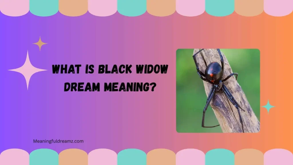 What Is Black Widow Dream Meaning?