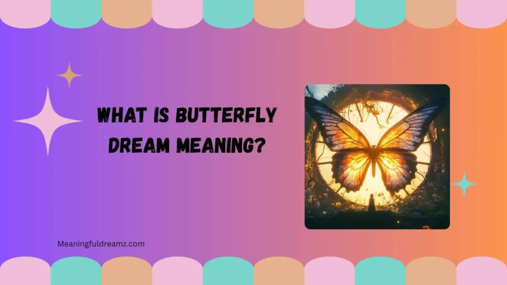 What Is Butterfly Dream Meaning?