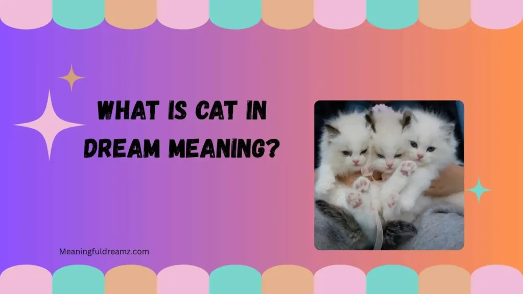 What Is Cat in Dream Meaning?