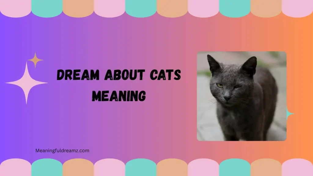 What Is Dream About Cats Meaning?