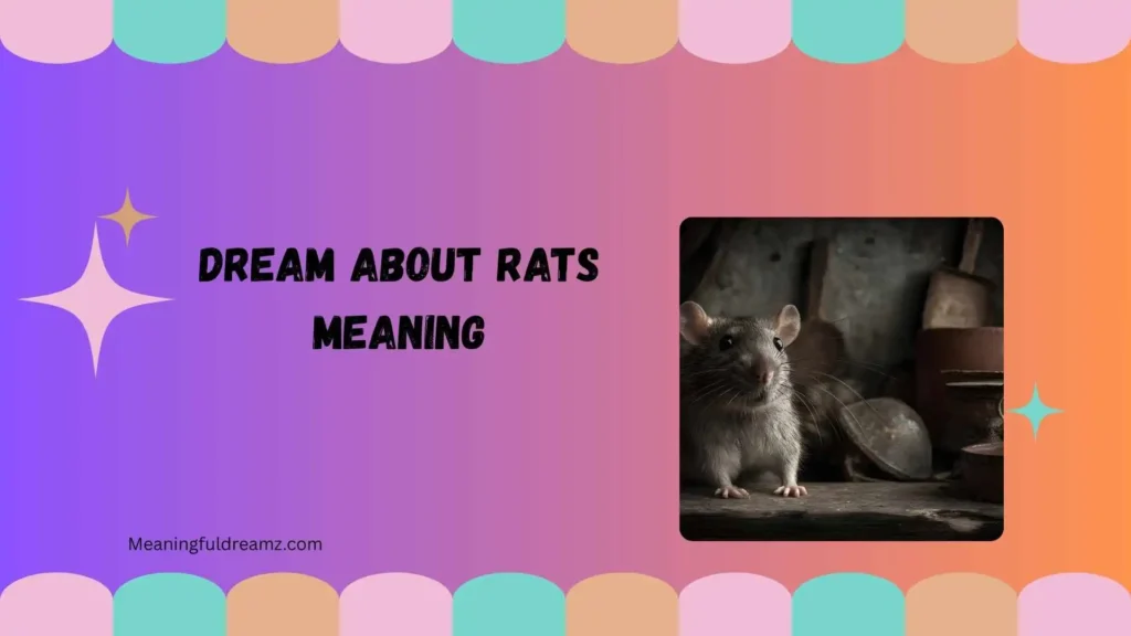 What Is Dream About Rats Meaning?