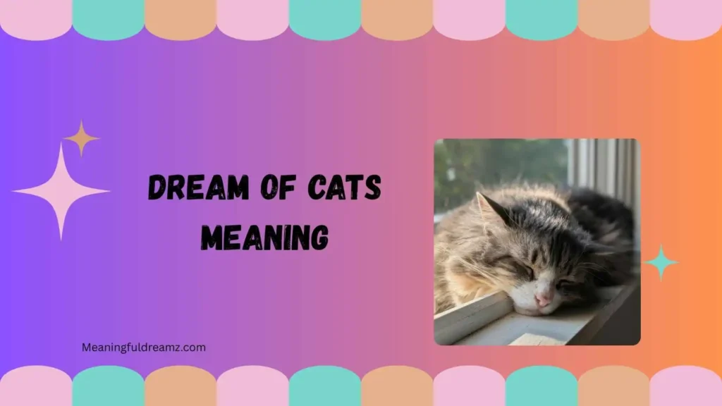 What Is Dream of Cats Meaning?