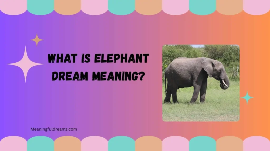 What Is Elephant Dream Meaning?