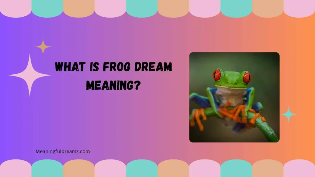 What Is Frog Dream Meaning?