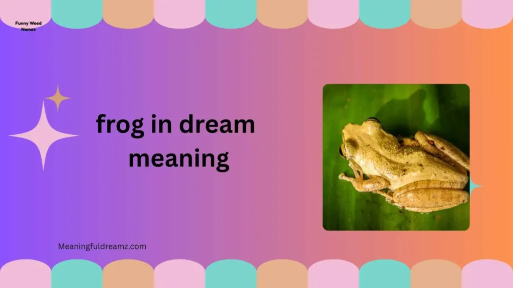 What Is Frog in Dream Meaning?