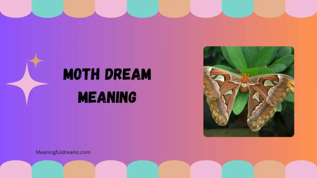 What Is Moth Dream Meaning?