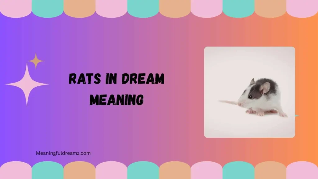 What Is Rats in Dream Meaning?