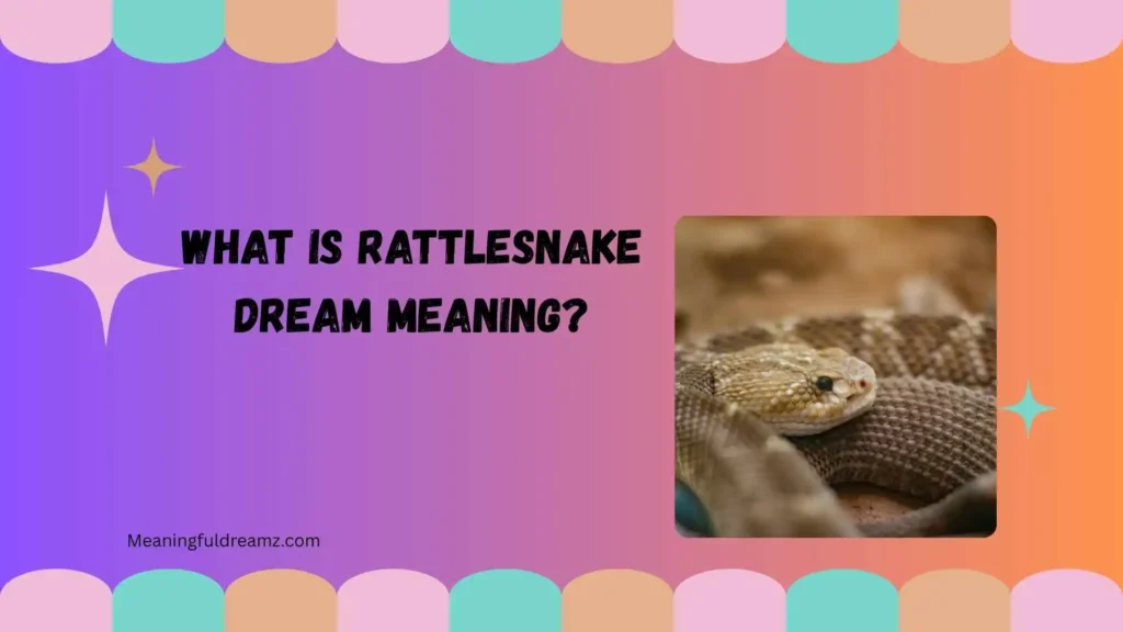What Is Rattlesnake Dream Meaning?