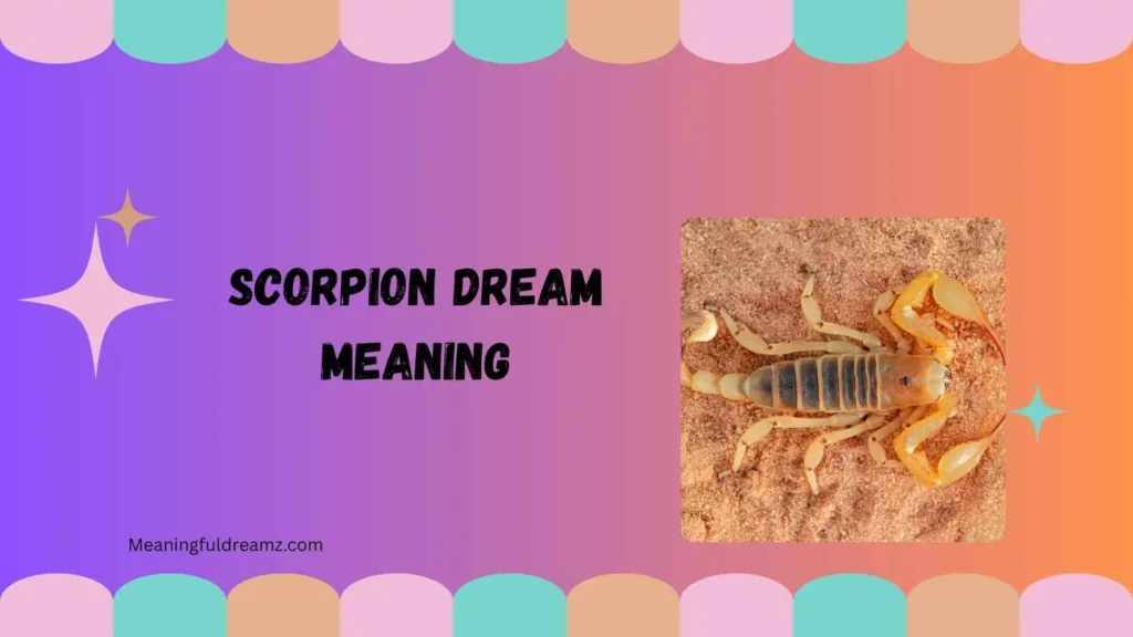 What Is Scorpion Dream Meaning?