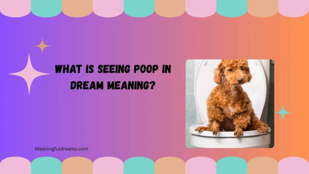 What Is Seeing Poop in Dream Meaning?