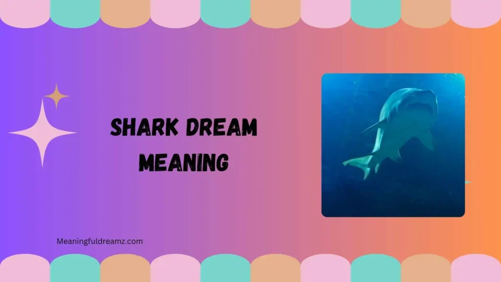What Is Shark Dream Meaning?