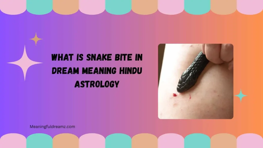 What Is Snake Bite in Dream Meaning Hindu Astrology?