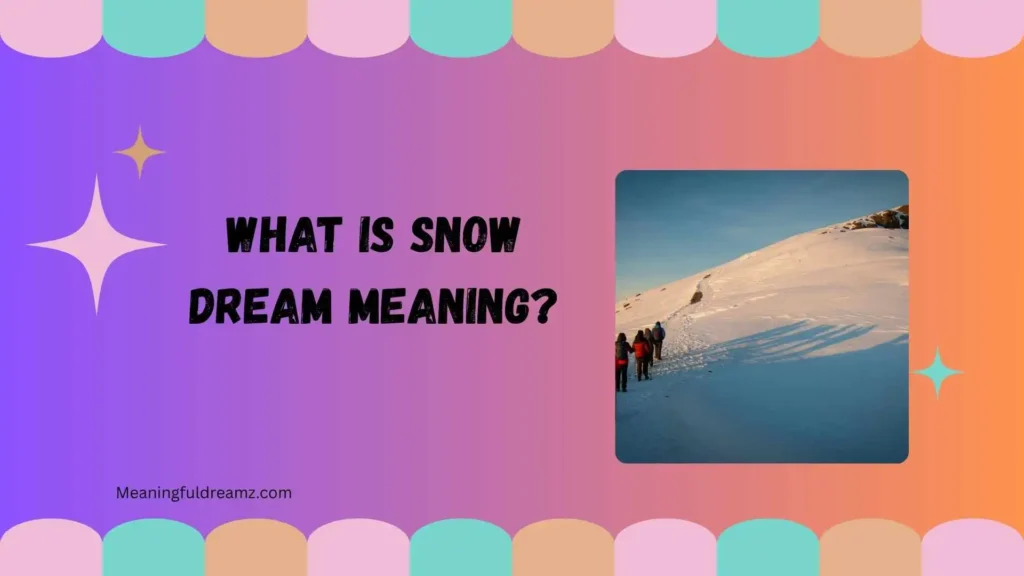 What Is Snow Dream Meaning?