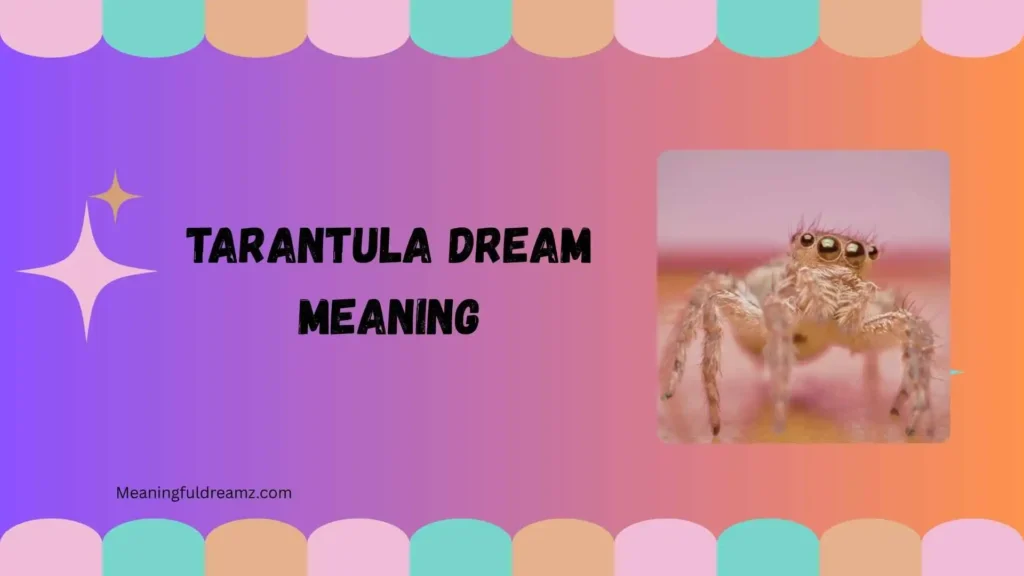 What Is Tarantula Dream Meaning?
