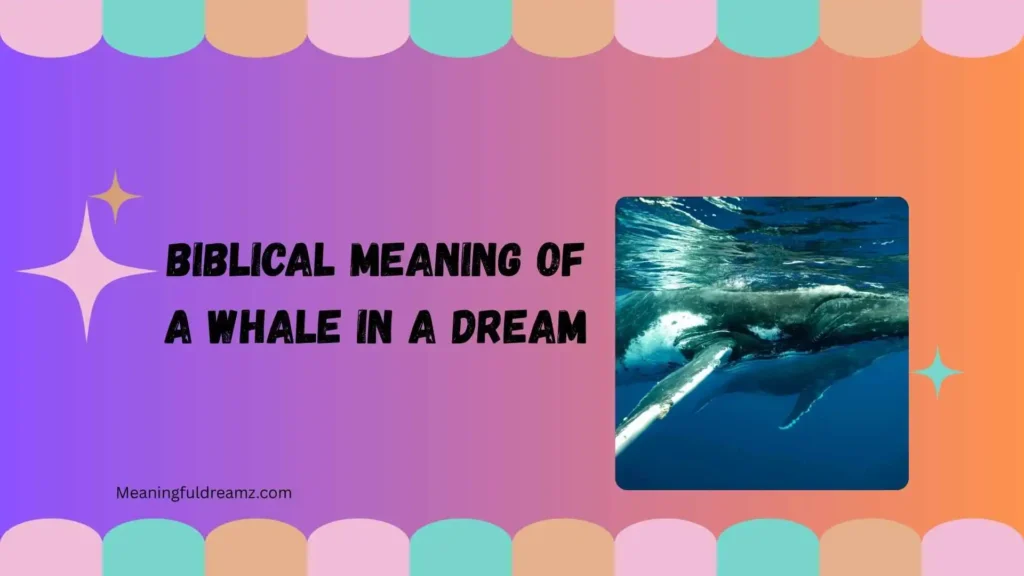 What Is the Biblical Meaning of a Whale in a Dream?