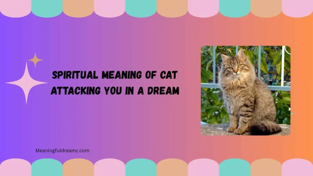 What Is the Spiritual Meaning of Cat Attacking You in a Dream?