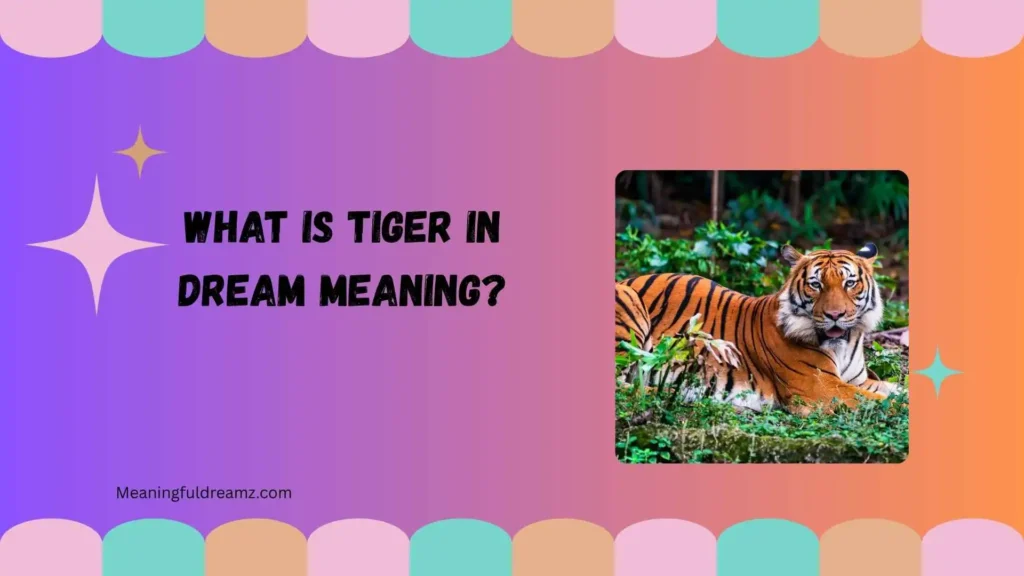 What Is Tiger in Dream Meaning?
