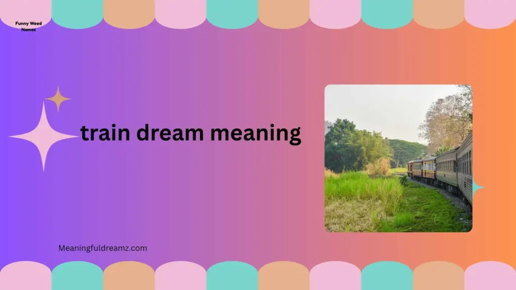 What Is Train Dream Meaning?