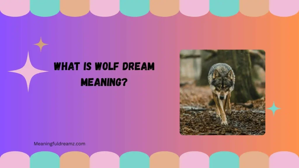 What Is Wolf Dream Meaning?