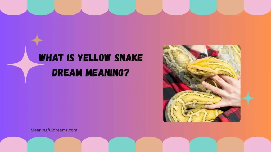 What Is Yellow Snake Dream Meaning?