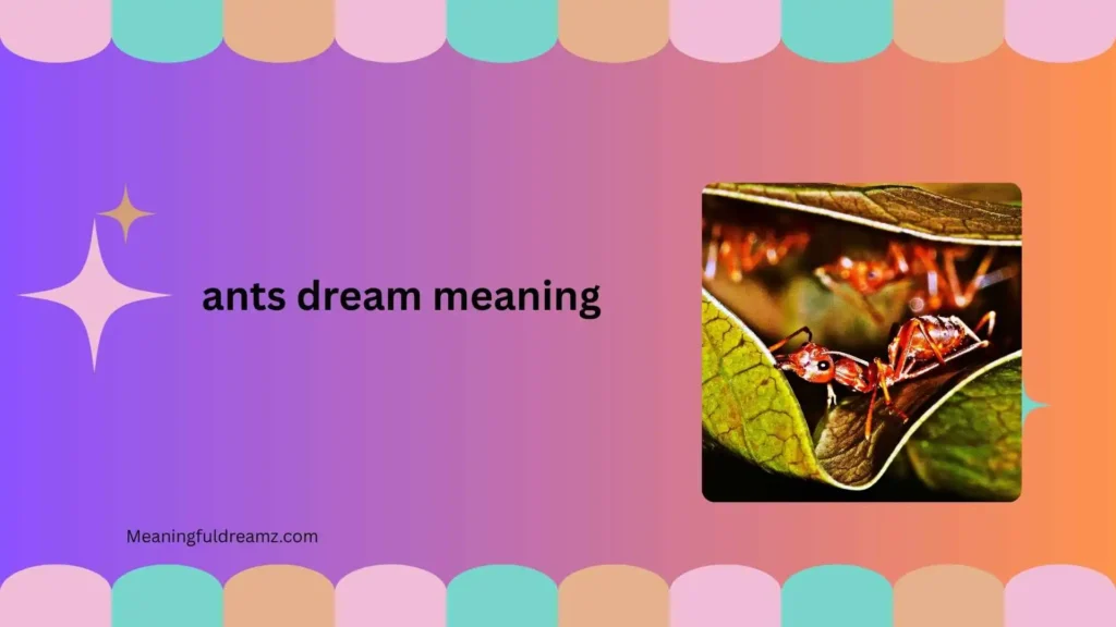 Why Do Ant Dreams Matter?