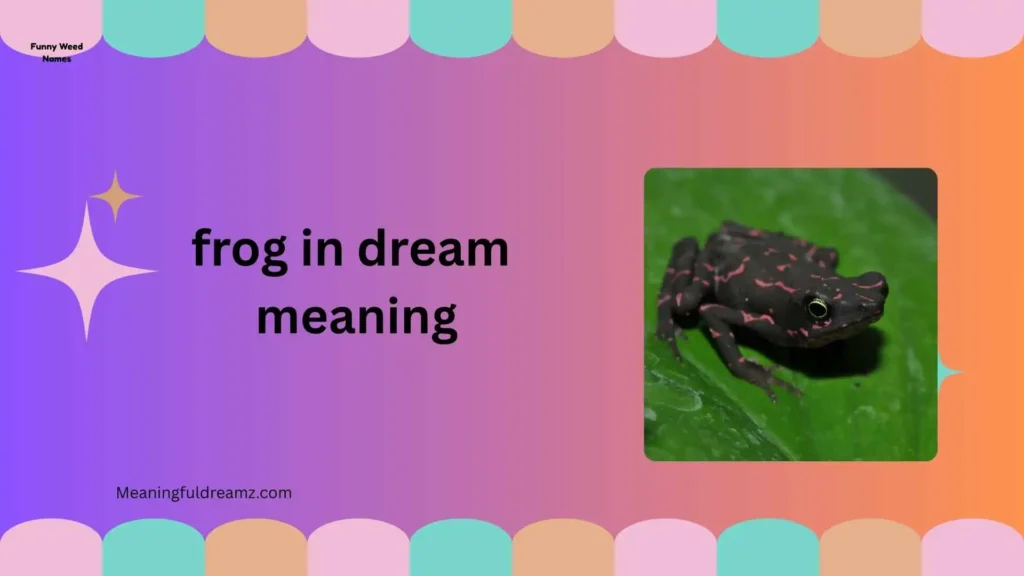 Why Do Frogs Appear in Dreams?